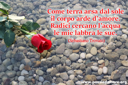 Poesia Ardore