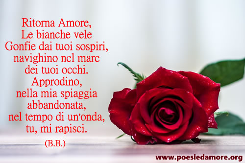 Poesia Ritorna Amore